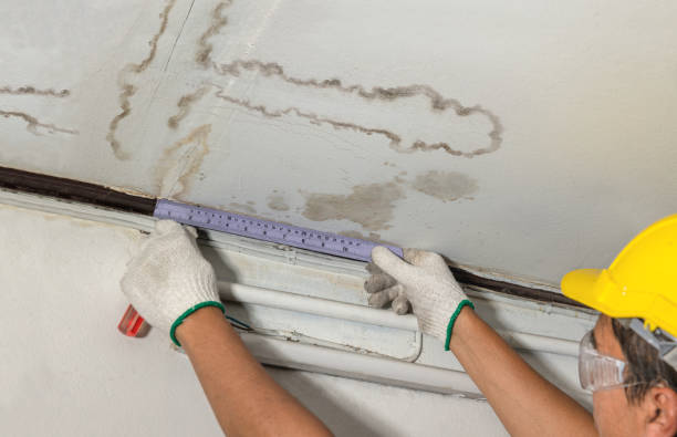 Affordable Water Damage Repair solutions in Carey, OH